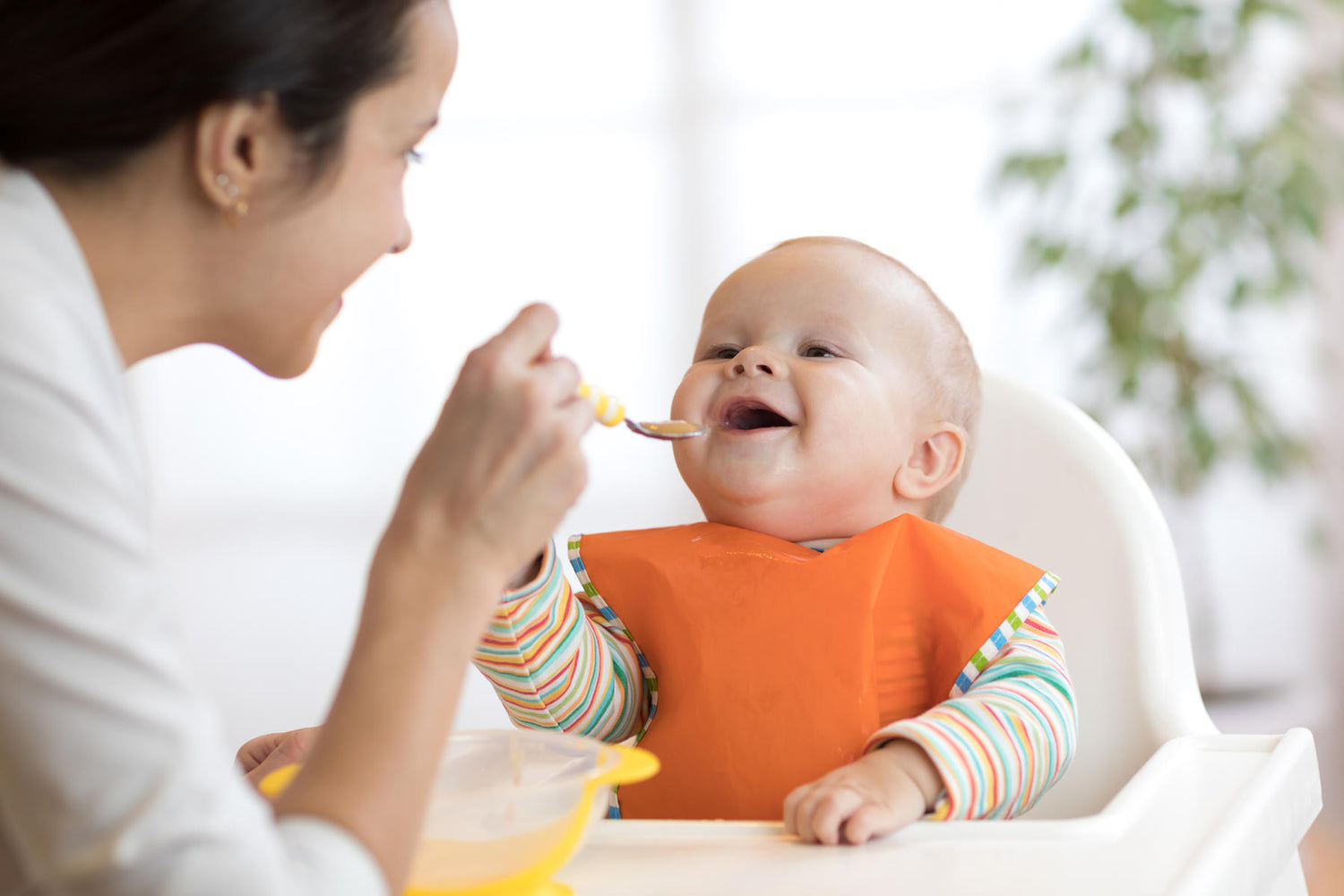 When Do Babies Start With Solid Food